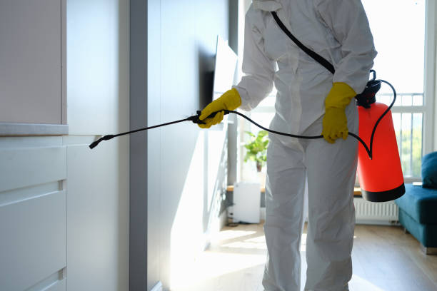 Best Toxic Mold Removal  in Buffalo, NY